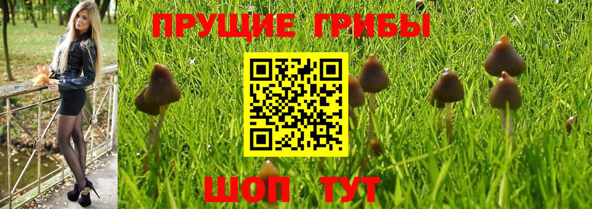 Галлюциногенные грибы мицелий Видное
